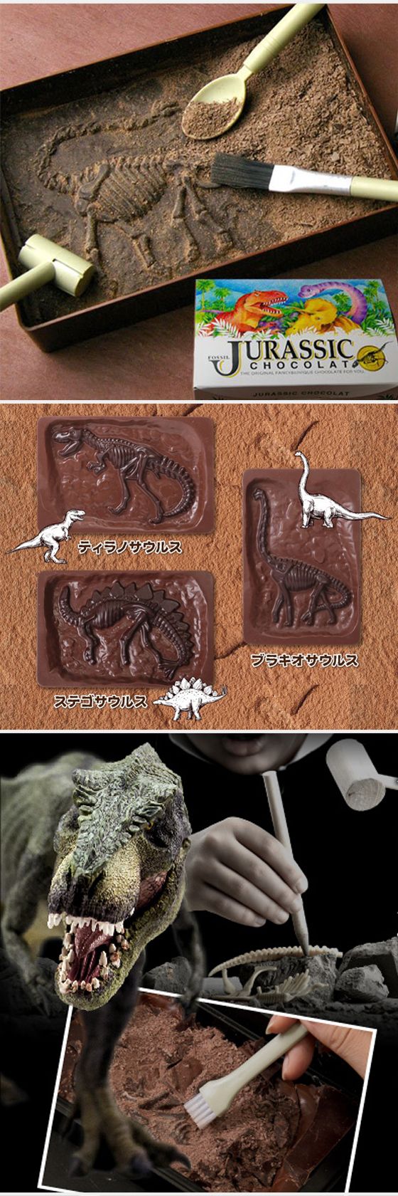 エニアグラムタイプ5にオススメ、ジュラシックショコラ 恐竜発掘チョコレート
